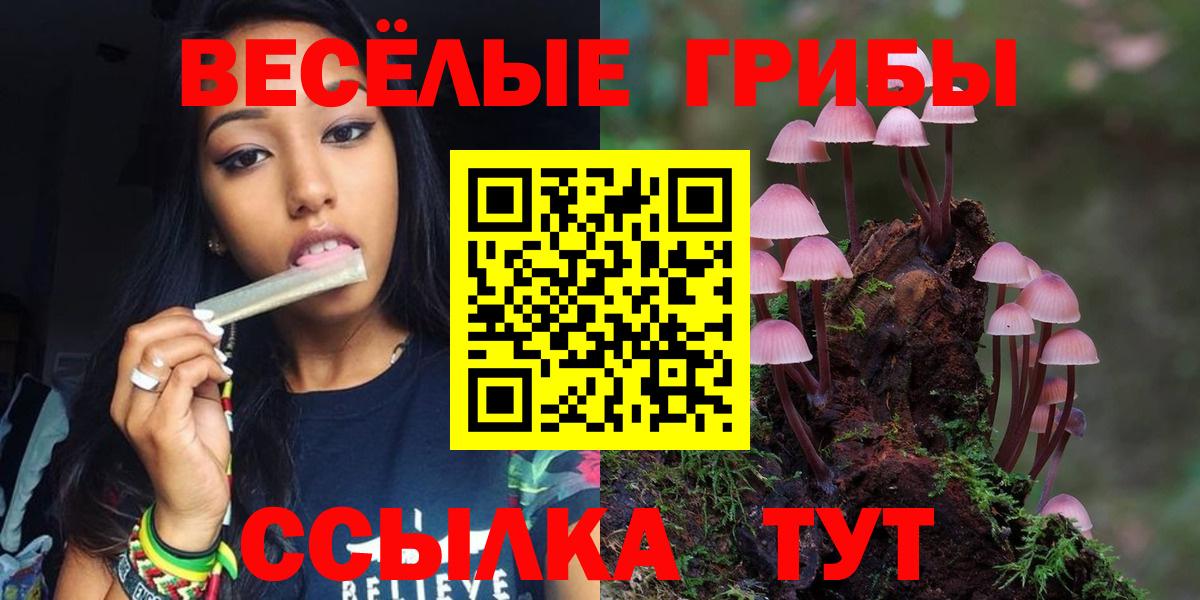 Галлюциногенные грибы мицелий Нижнекамск