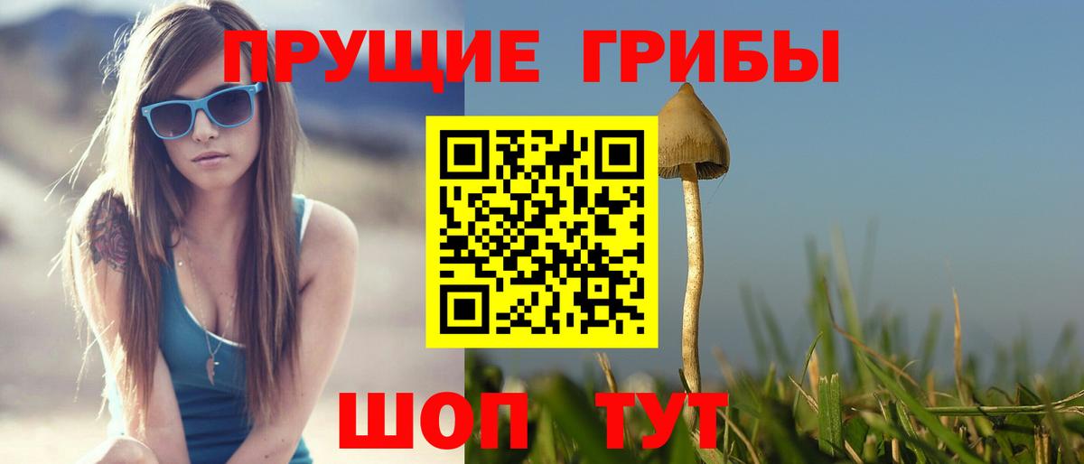 Псилоцибиновые грибы мицелий  Вход с VPN  Галлюциногенные грибы ЛСД  где купить наркотик  Нижнекамск 